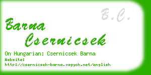 barna csernicsek business card